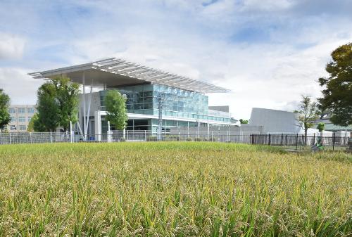 池上曽根弥生学習館